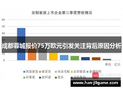 成都蓉城报价75万欧元引发关注背后原因分析 成都蓉城报价75万欧元引发关注背后原因分析