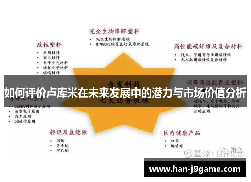 如何评价卢库米在未来发展中的潜力与市场价值分析